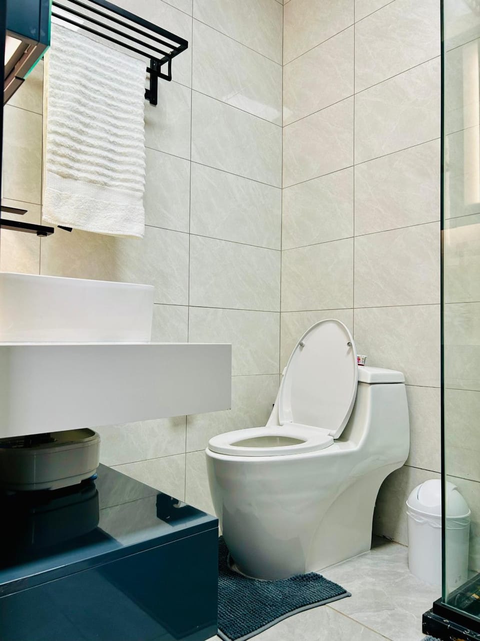 Toilet, towels