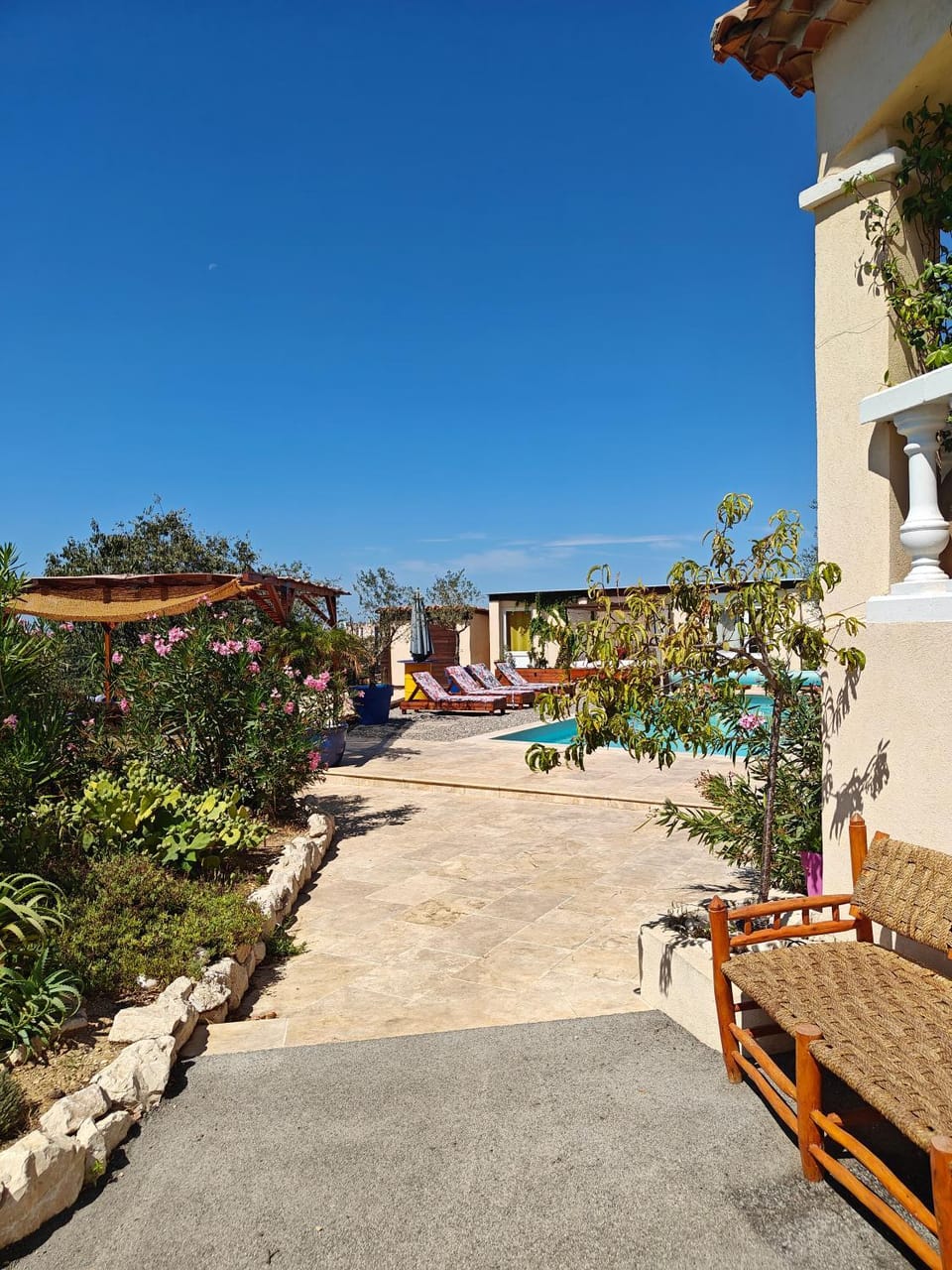 Garden, Garden view, Swimming pool, sunbed
