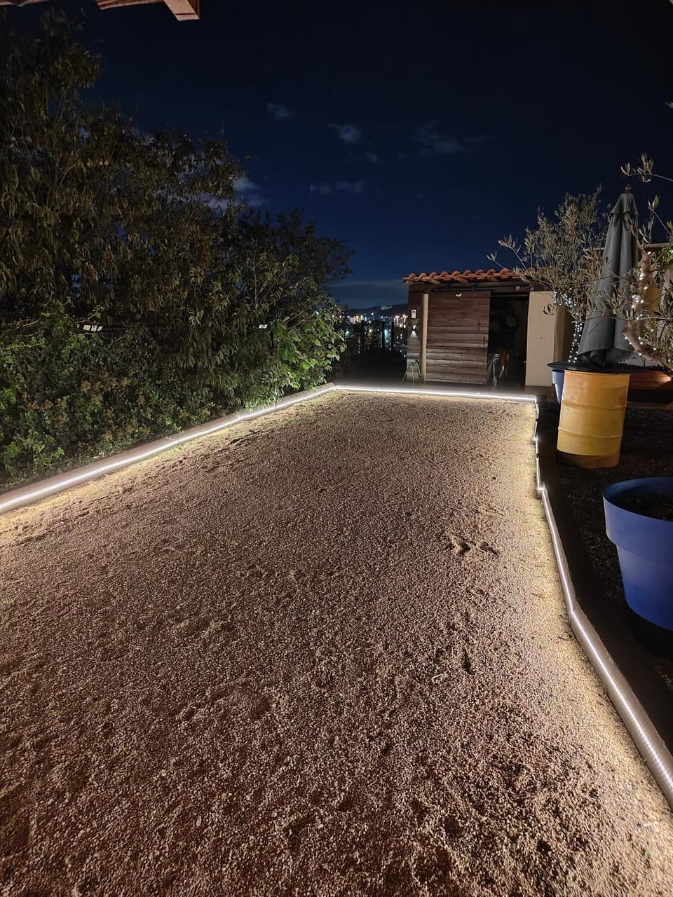 Night, Garden