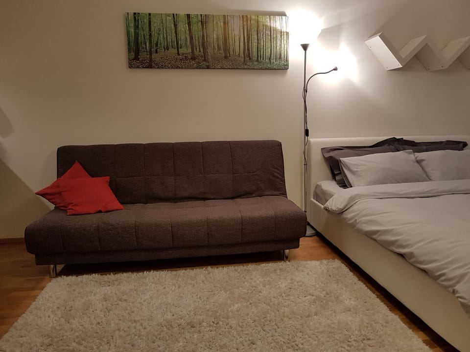 Photo of the whole room
