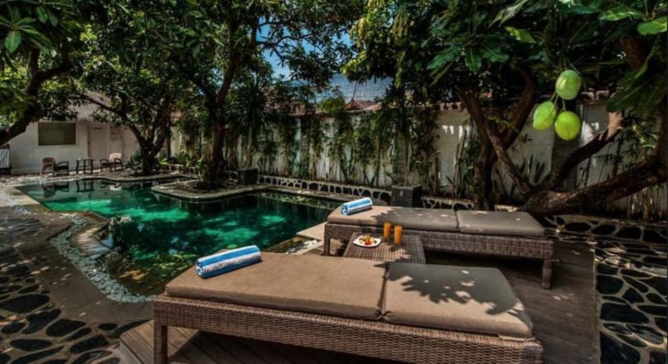 Garden view, Swimming pool, Swimming pool, sunbed