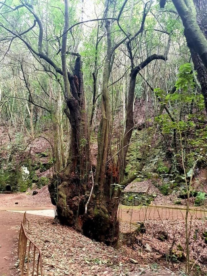 Natural landscape