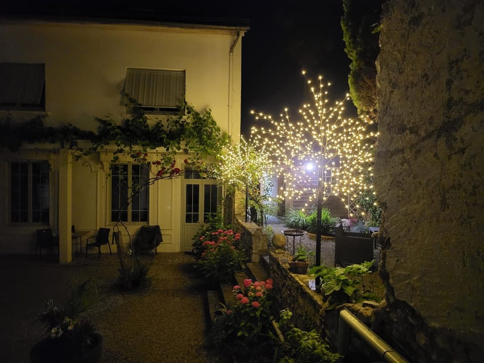 Property building, Night, Garden, Garden view