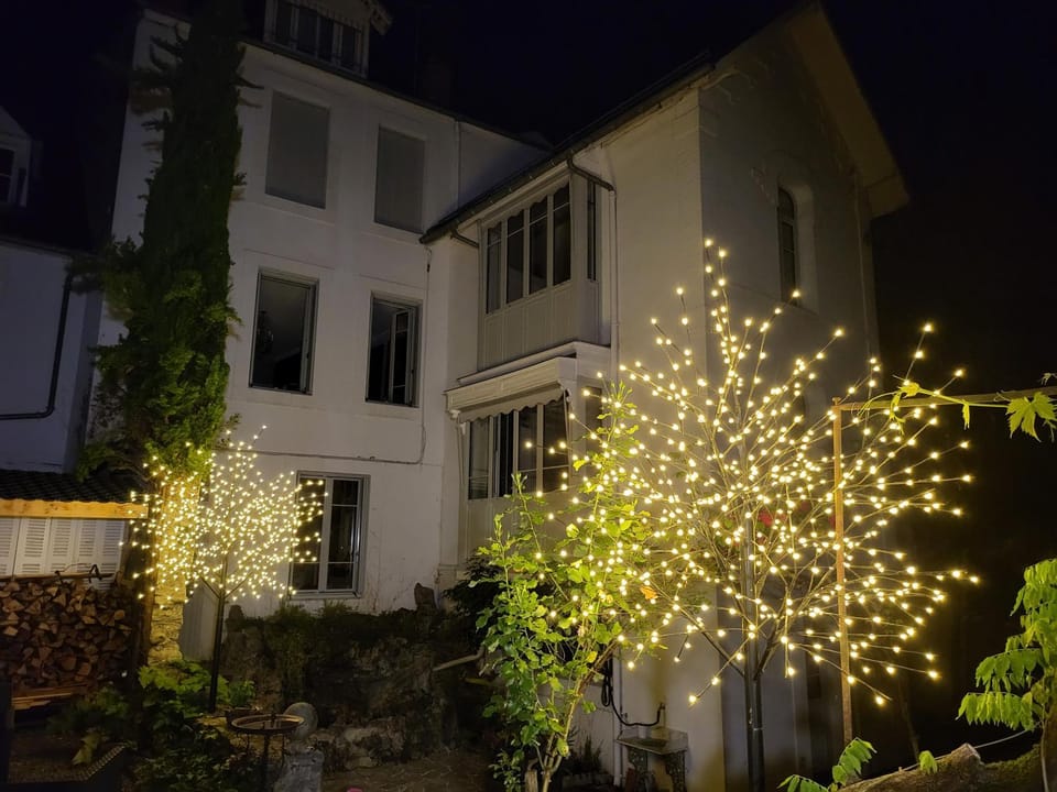 Property building, Night, Garden, Garden view