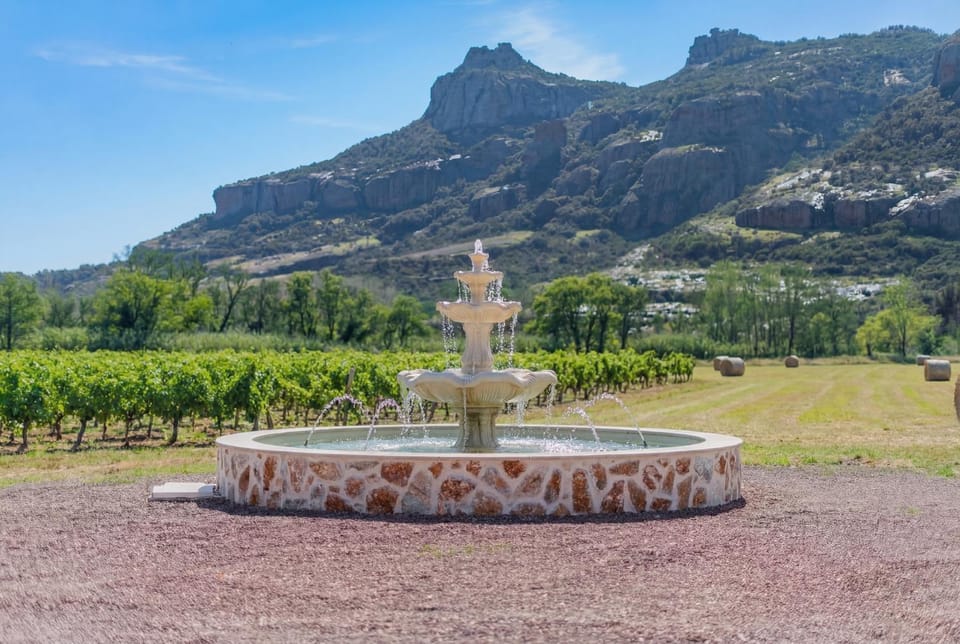 Domaine Les terres du soleil Apartment hotel in Roquebrune-sur-Argens