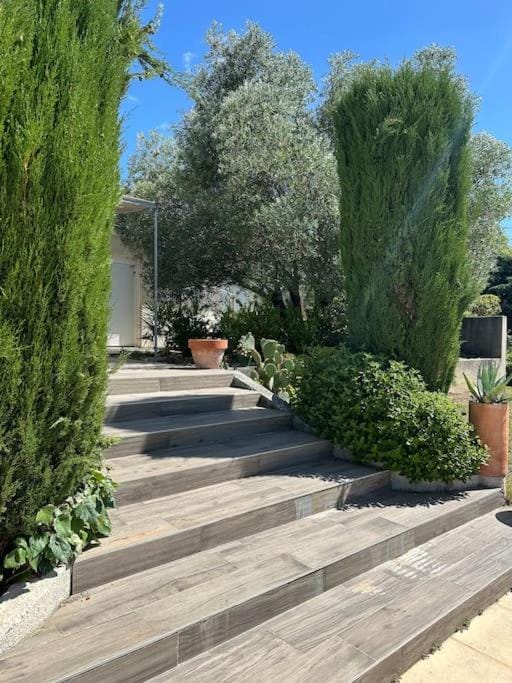 Patio, Day, Summer, Garden