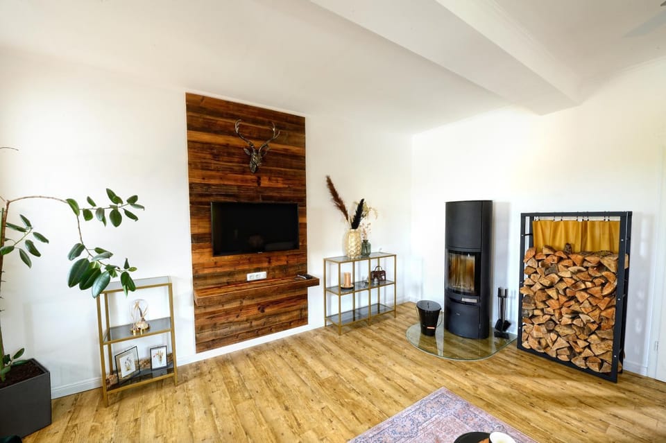 Living room, Evening entertainment, fireplace