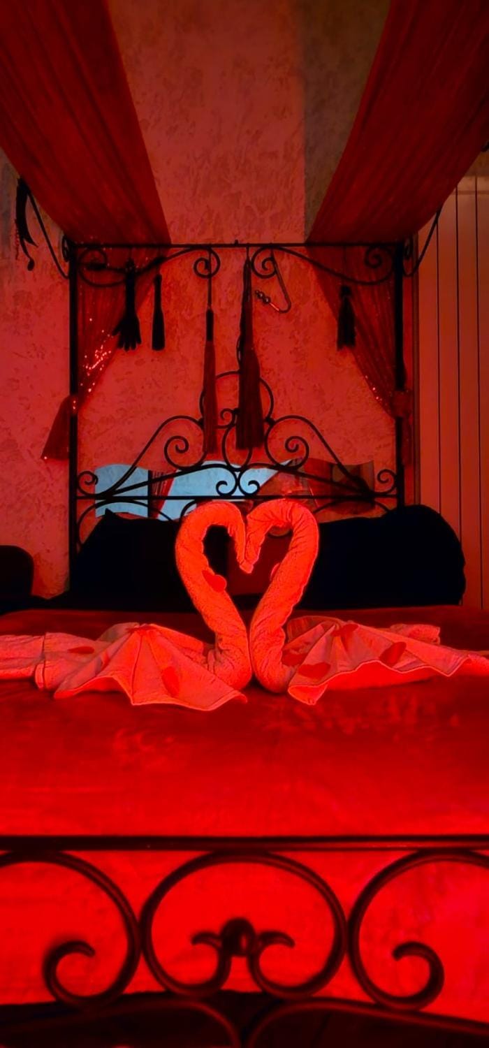 Xcoquine Love Room & Spa Apartment in Saint-Maximin-la-Sainte-Baume