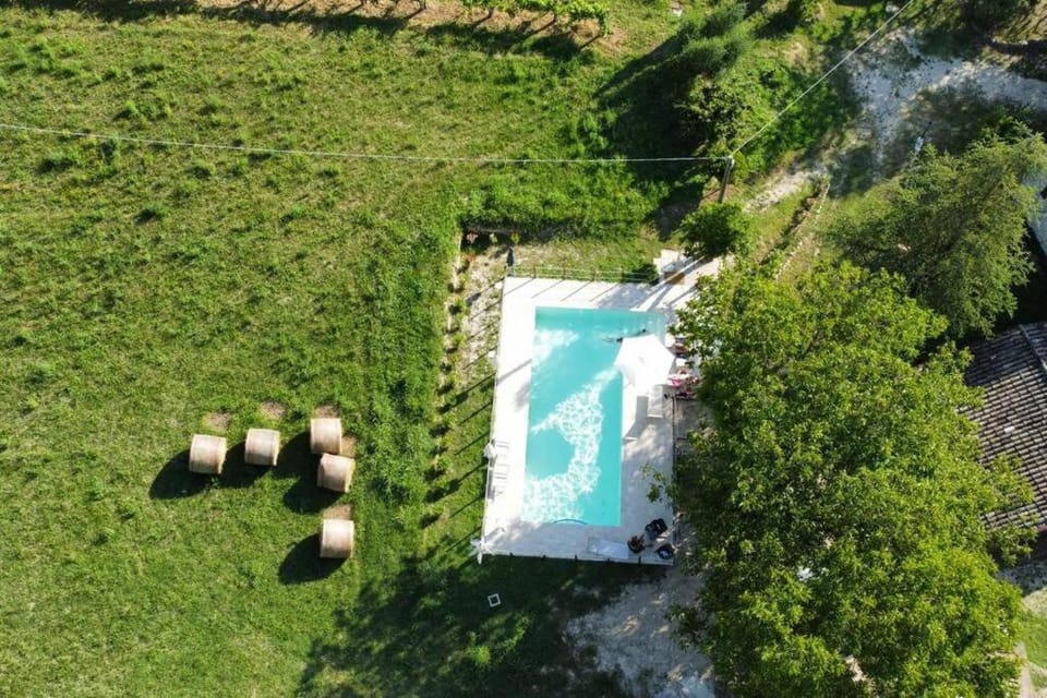 Garden, Swimming pool