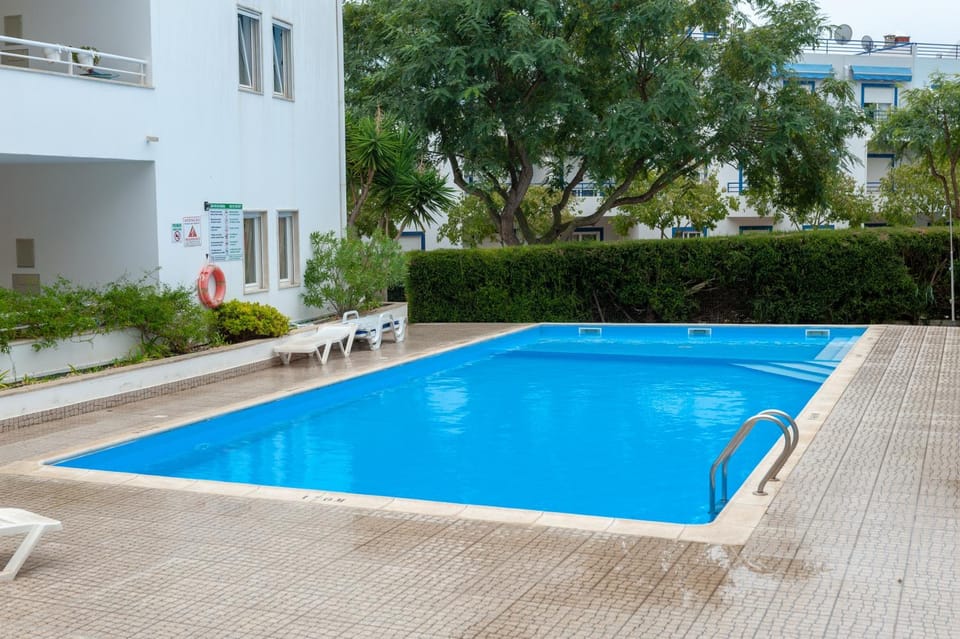 Day, Pool view, Swimming pool, sunbed