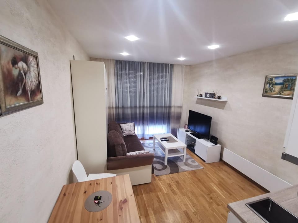 Danilovic Apartmani Apartment in Zlatibor