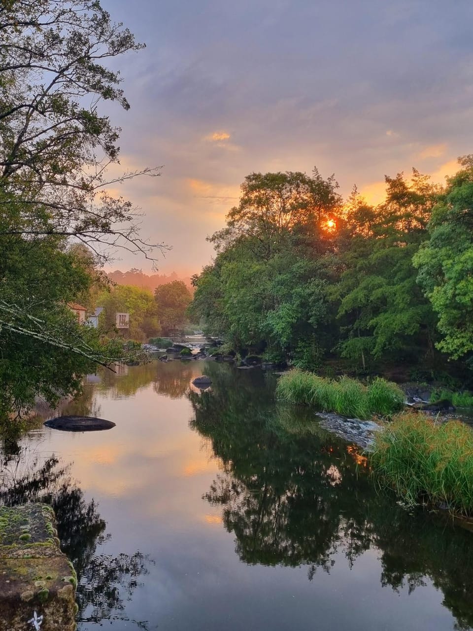 River view