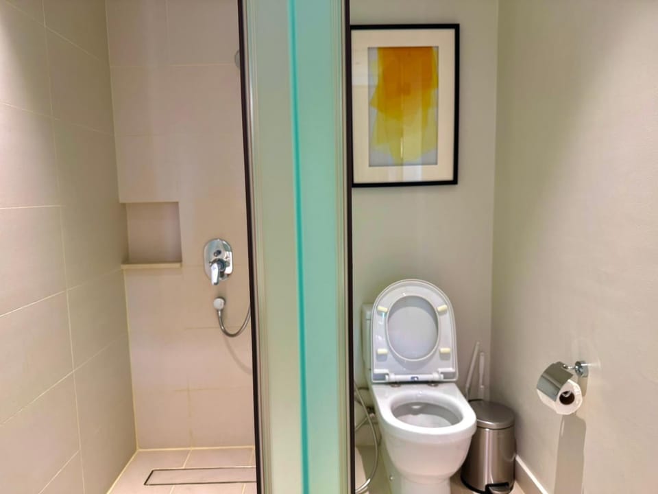 Shower, Toilet, Bathroom, bidet