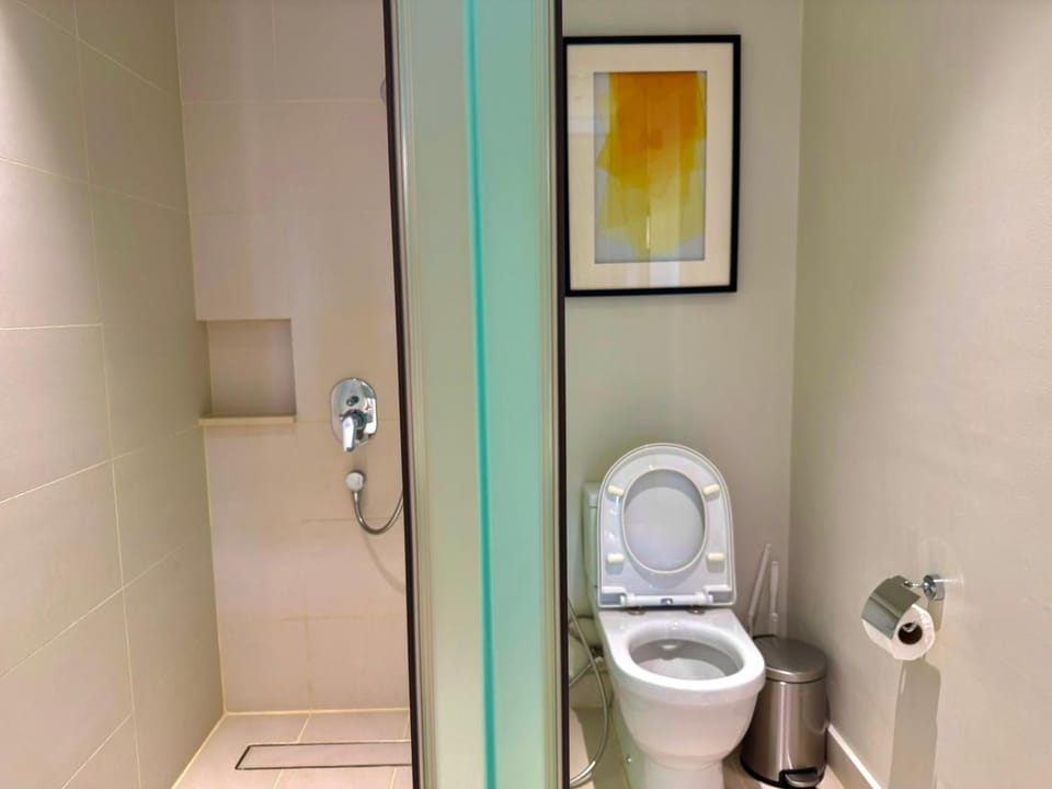 Shower, Toilet, Bathroom, bidet