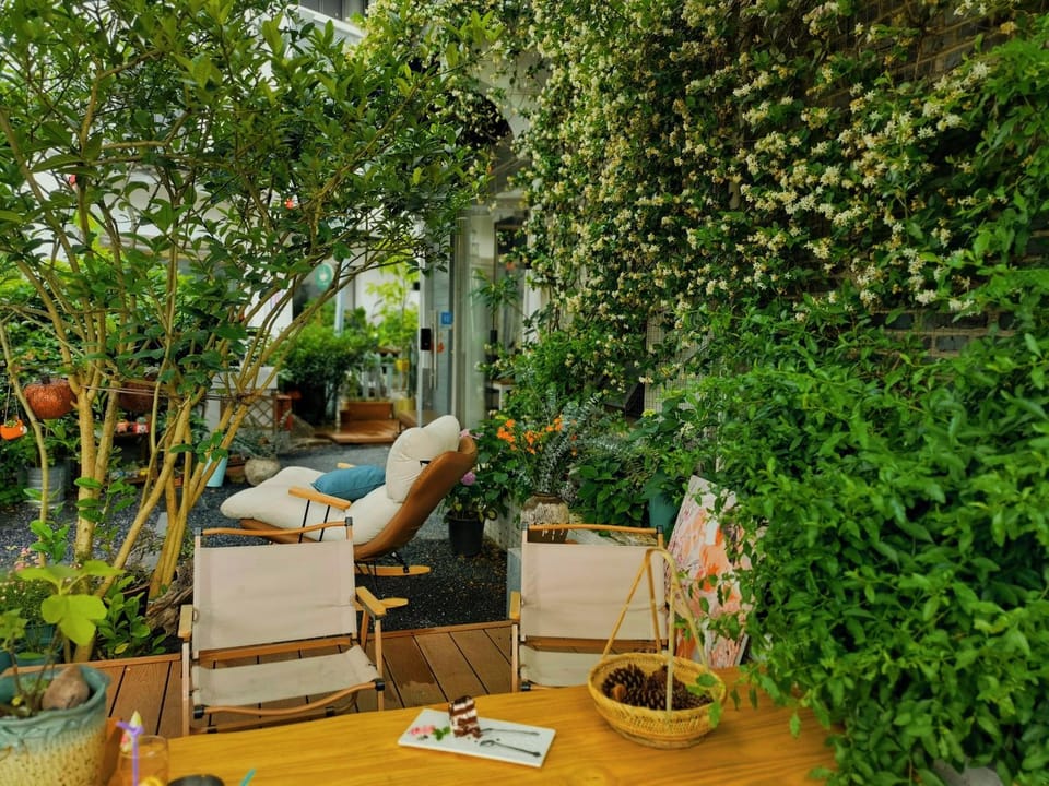 Spring, Garden, Garden view