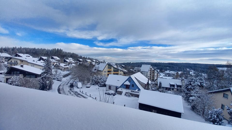 Natural landscape, Winter