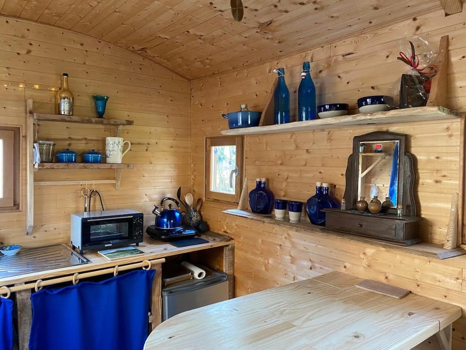 Kitchen or kitchenette, stove, kitchen