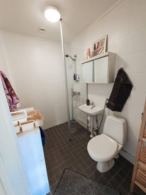 Toilet, Bathroom