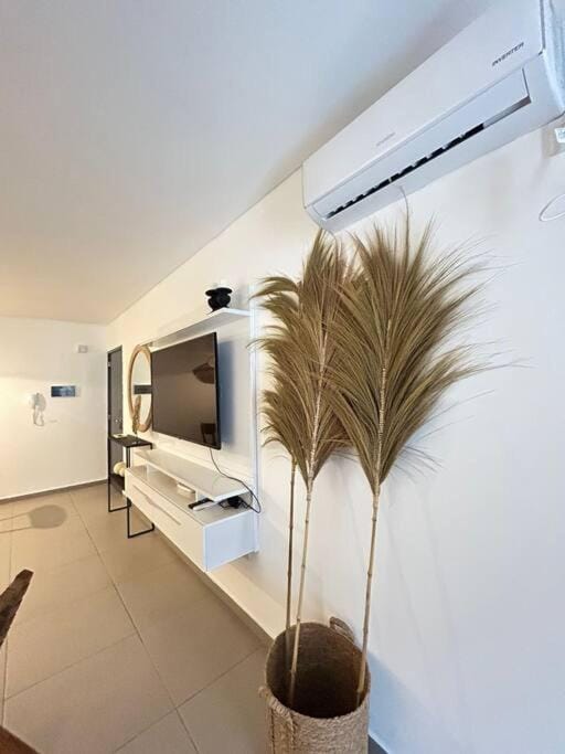 TV and multimedia, air conditioner