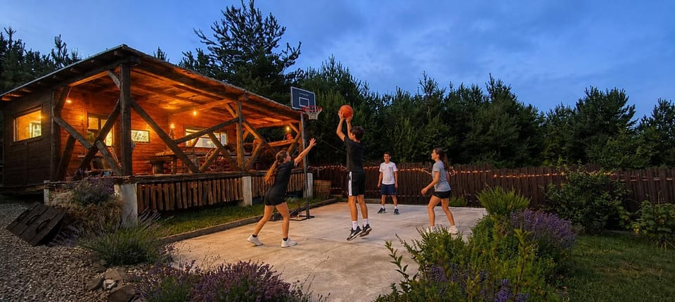 Bellevue Beam House Bed and Breakfast in Romania