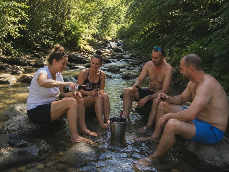 Bellevue Beam House Bed and Breakfast in Romania