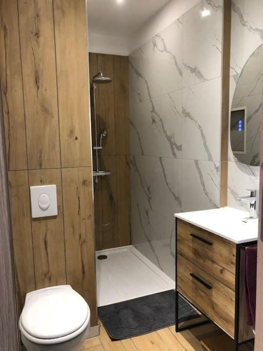 Appart 34m2 rénové , lumineux Apartment in Vosges