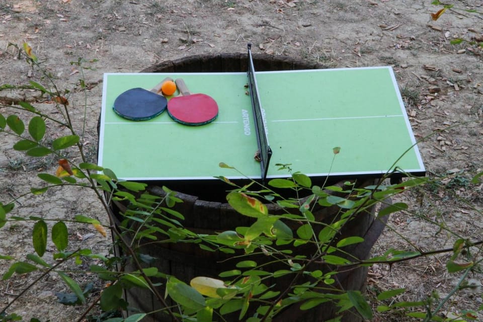 Table tennis
