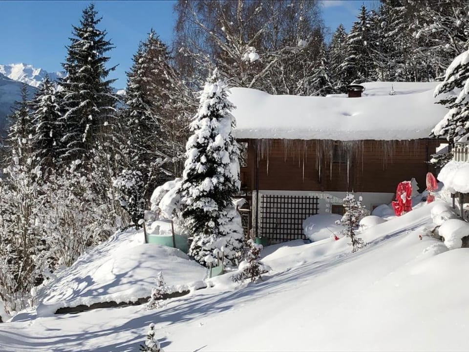 Winter, Mountain view