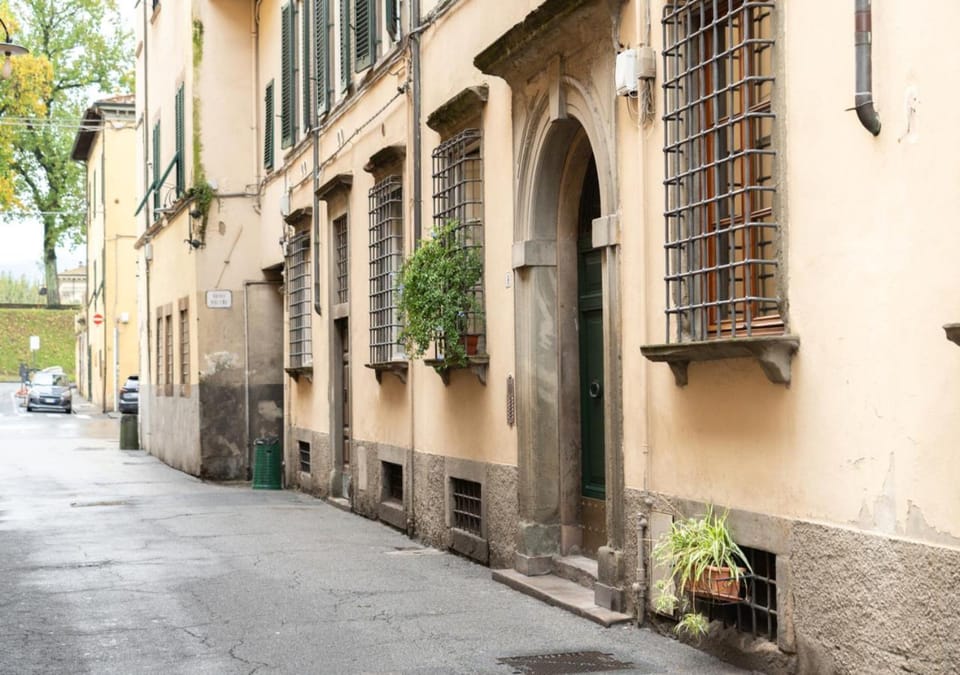 Property building, Street view