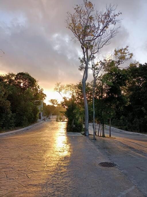 Sunrise