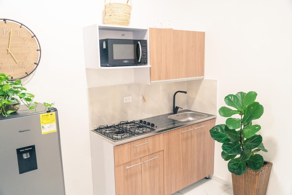 Kitchen or kitchenette, minibar, oven, pet friendly, stove