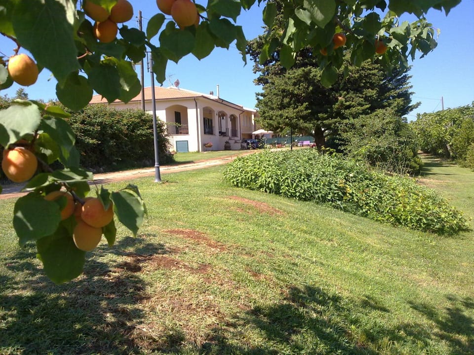 Facade/entrance, Garden