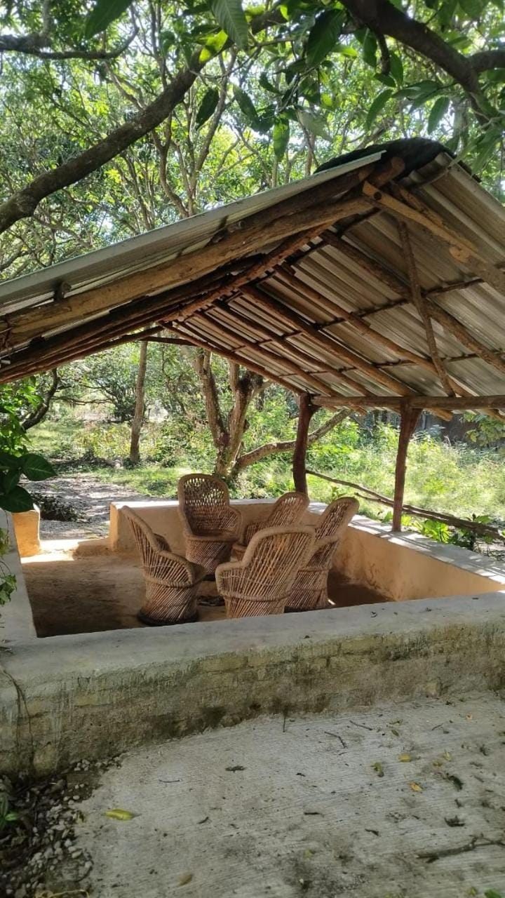 Garden, Garden view