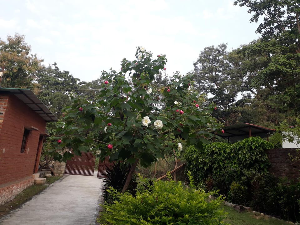 Garden, View (from property/room)