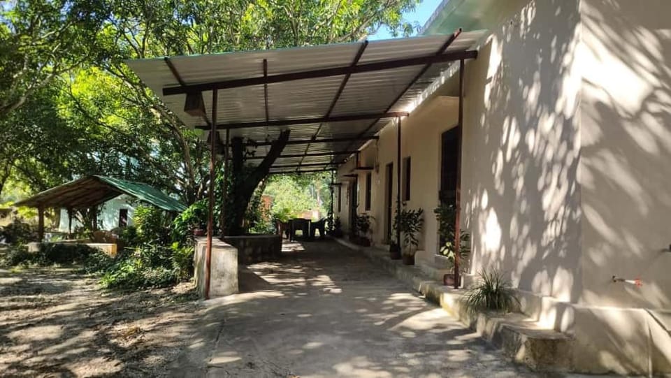 Property building, Garden view
