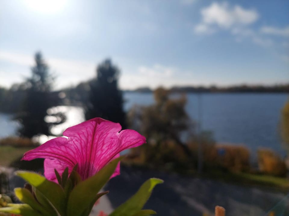 Lake view