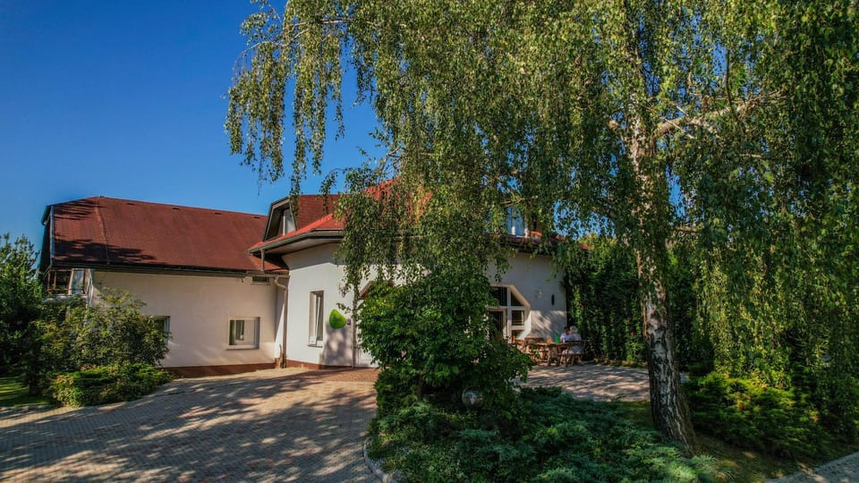 Property building, Spring, Day, Garden, Garden view