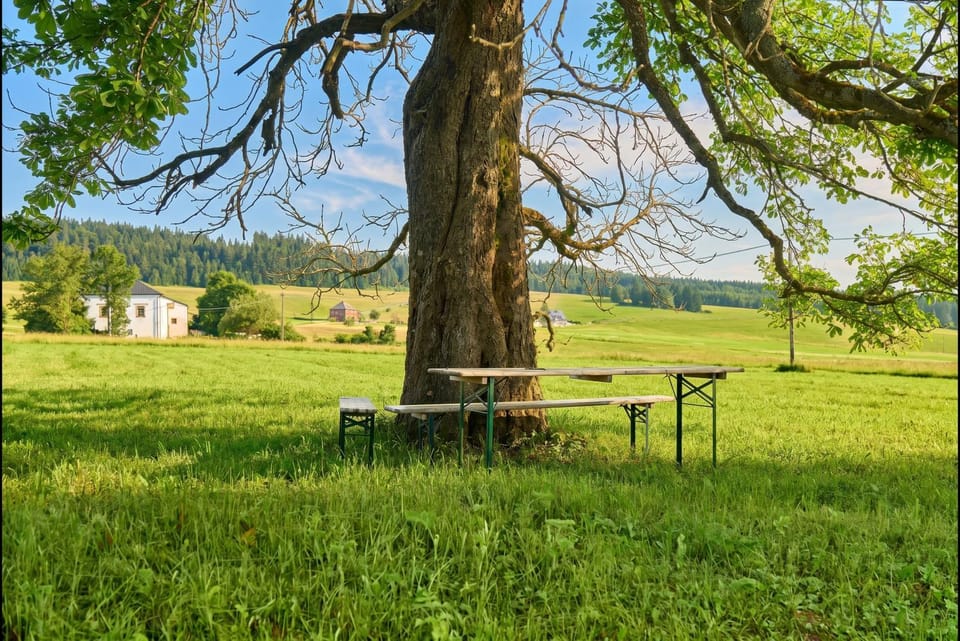 Natural landscape, Mountain view