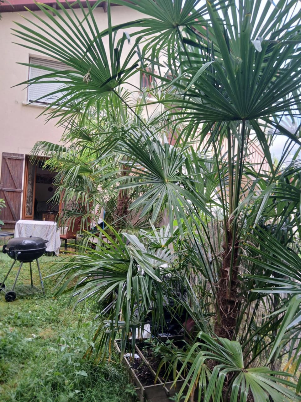 Natural landscape, Garden view