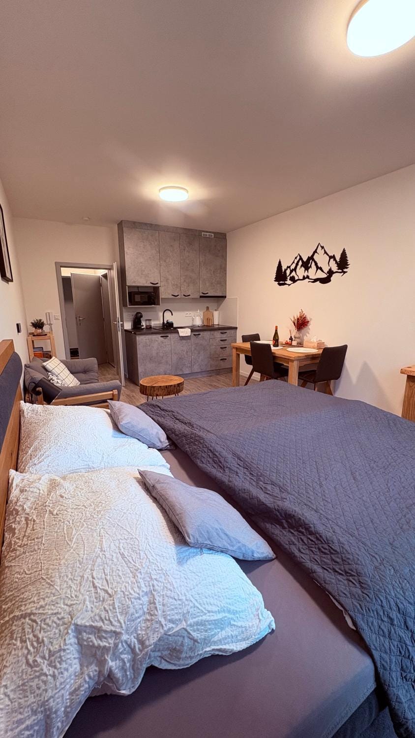 Vista 14 Apartment in Czechia