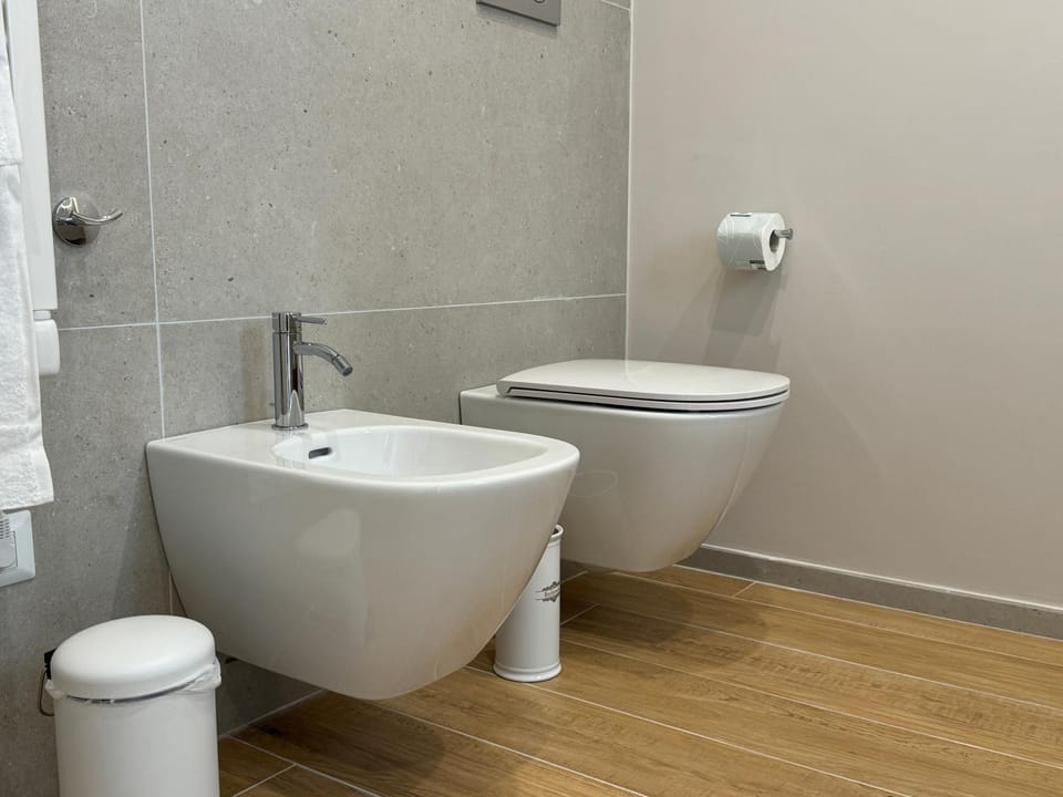 Toilet, Bathroom, bidet