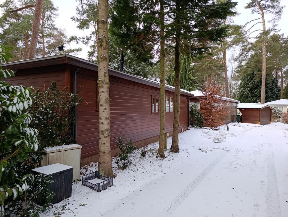 Property building, Winter