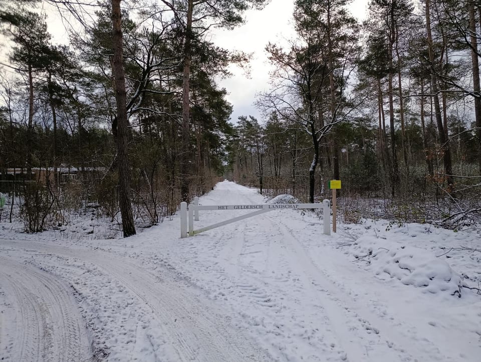 Natural landscape, Winter