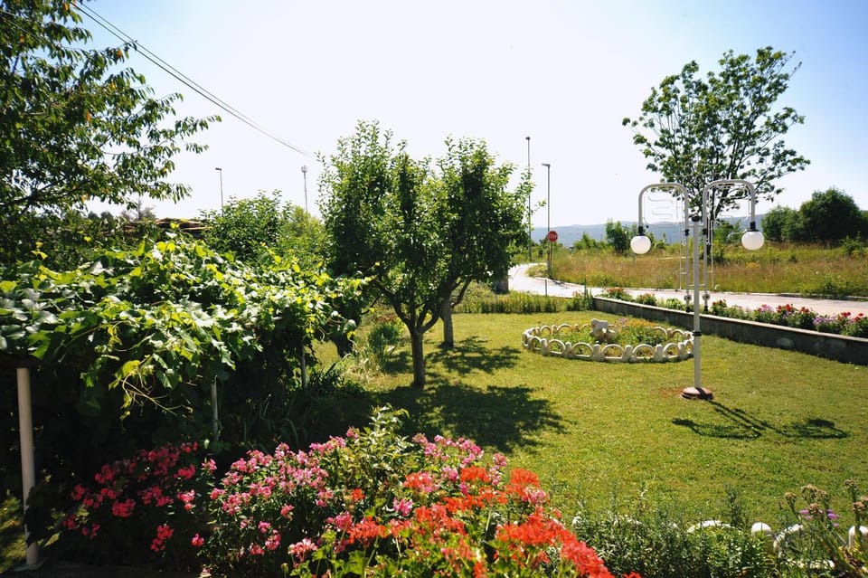 Garden, Balcony/Terrace