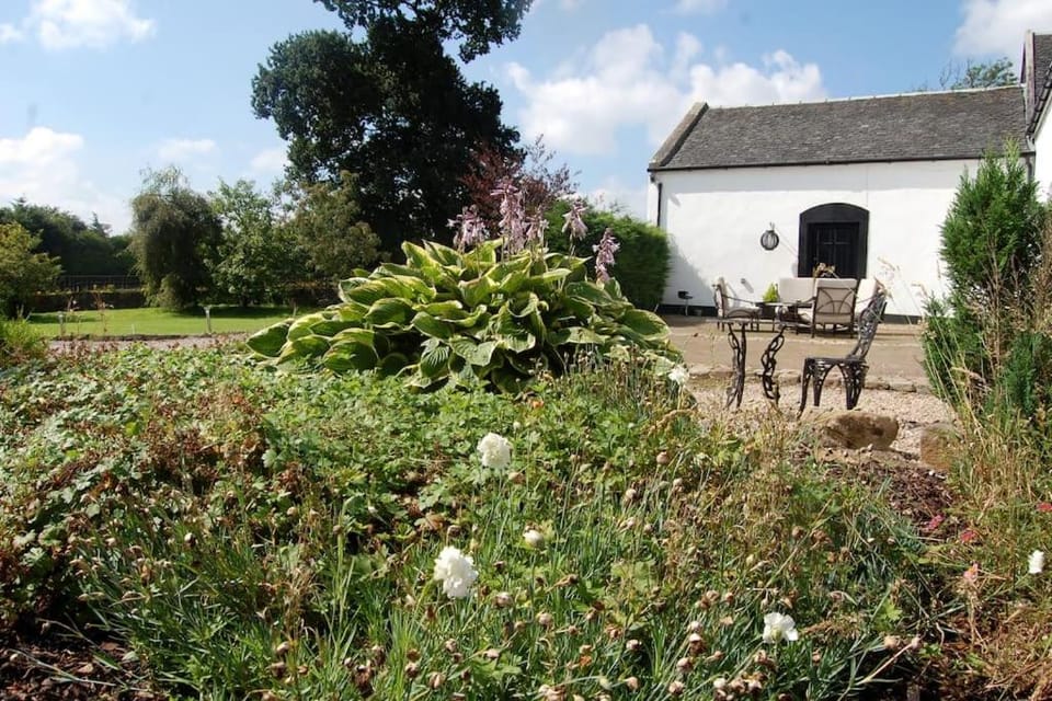 Property building, Spring, Day, Garden view