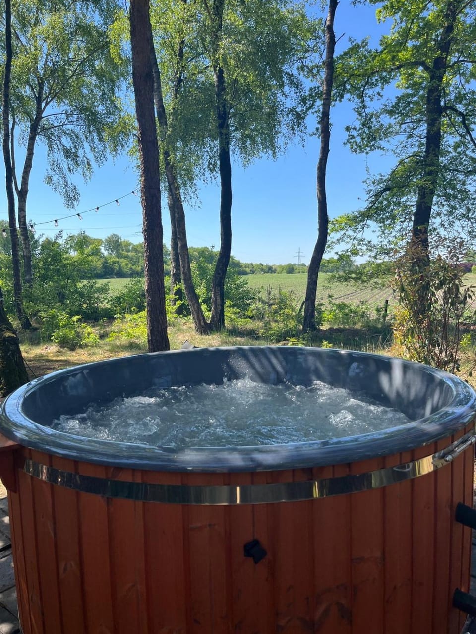 Sallands natuurhuisje Hellendoorn hottub Metz Chalet in Overijssel (province)
