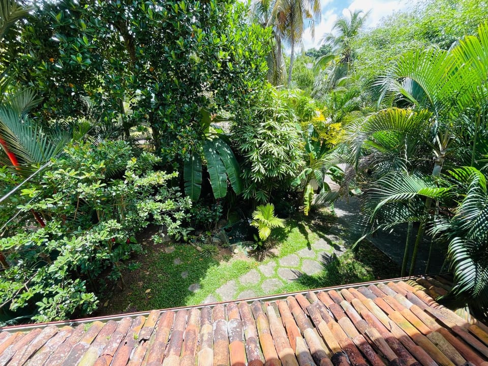 Day, Natural landscape, Garden, Garden view