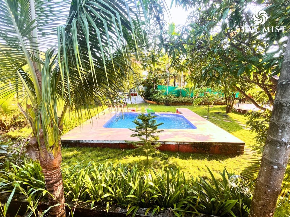 Natural landscape, Garden, Swimming pool