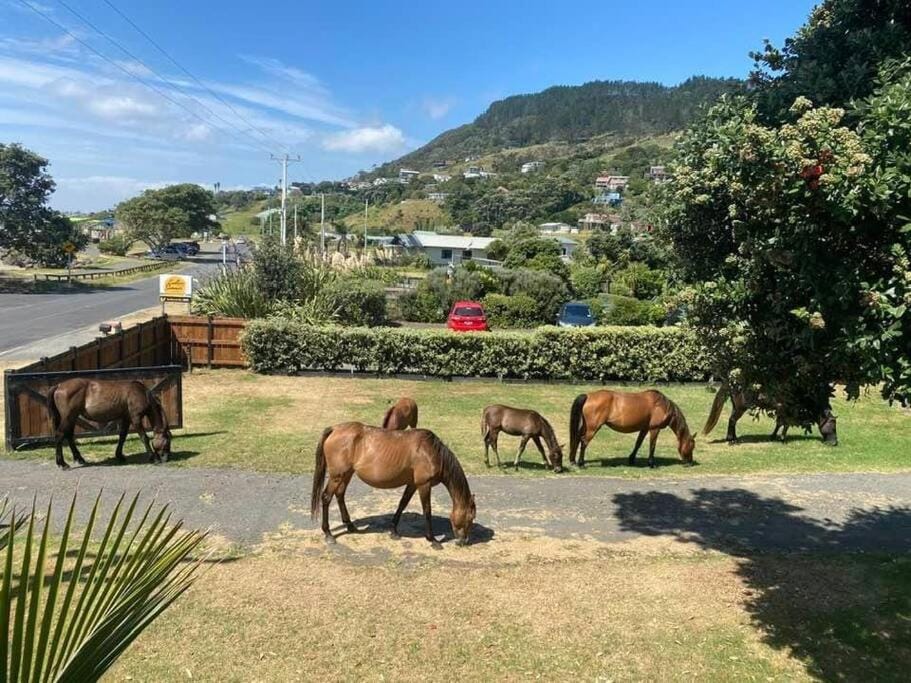 Ahipara Beach Front, modern stylish bach House in Northland
