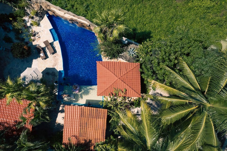 Property building, Day, Natural landscape, Bird's eye view, Garden, Garden view, Swimming pool